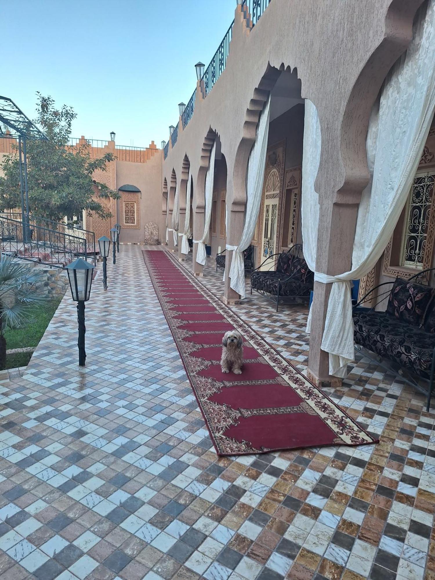 Eden Suite Marrakesh Luaran gambar
